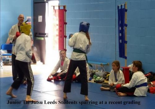 Juniors junior martial art students sparring