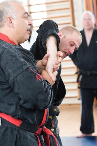 SF training wrist locks