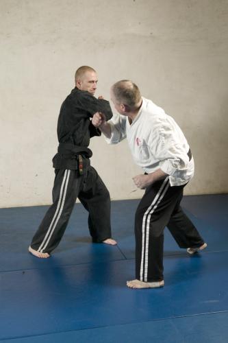 defence against a punch