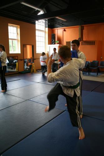 fast haft turning kick