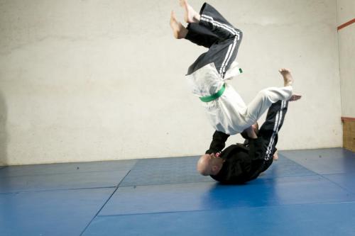 fly