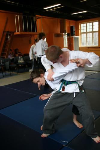 junior arn bar with spin lock