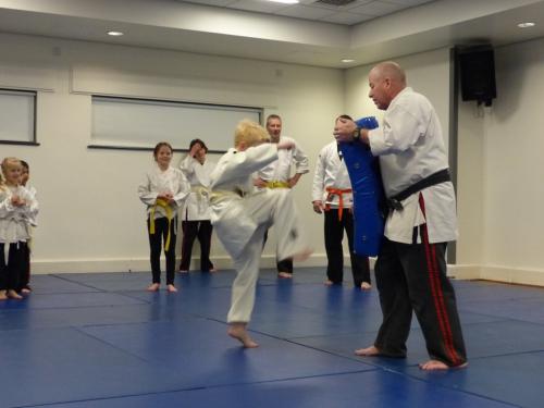 junior haft turning kick