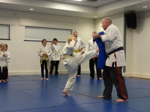 junior punch kick