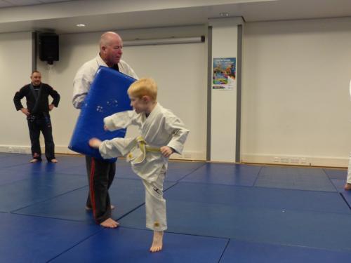 junior side kick