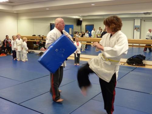 lady haft turning kick