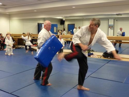 mick haft turning kick