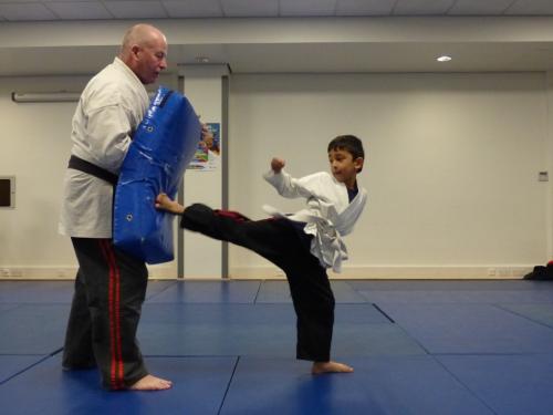 right haft turning kick