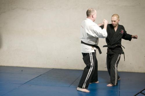sensei blocking punch