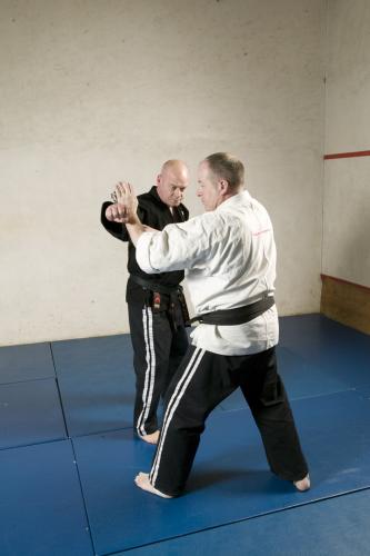 sensei sean blocking 2