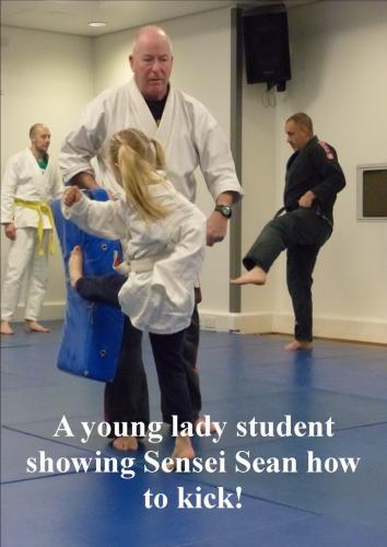 more martial art kicks