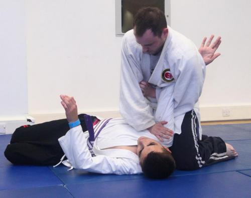 nice arm bar